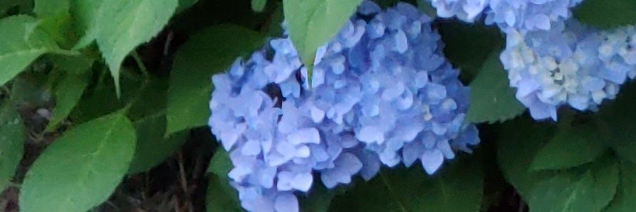 C_JoBaxter's profile banner image
