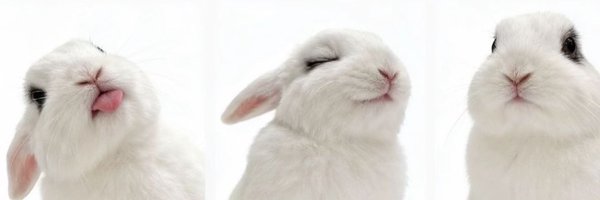 airey1 Profile Banner