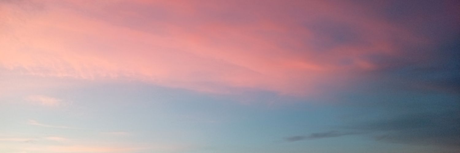 lis51244's profile banner image