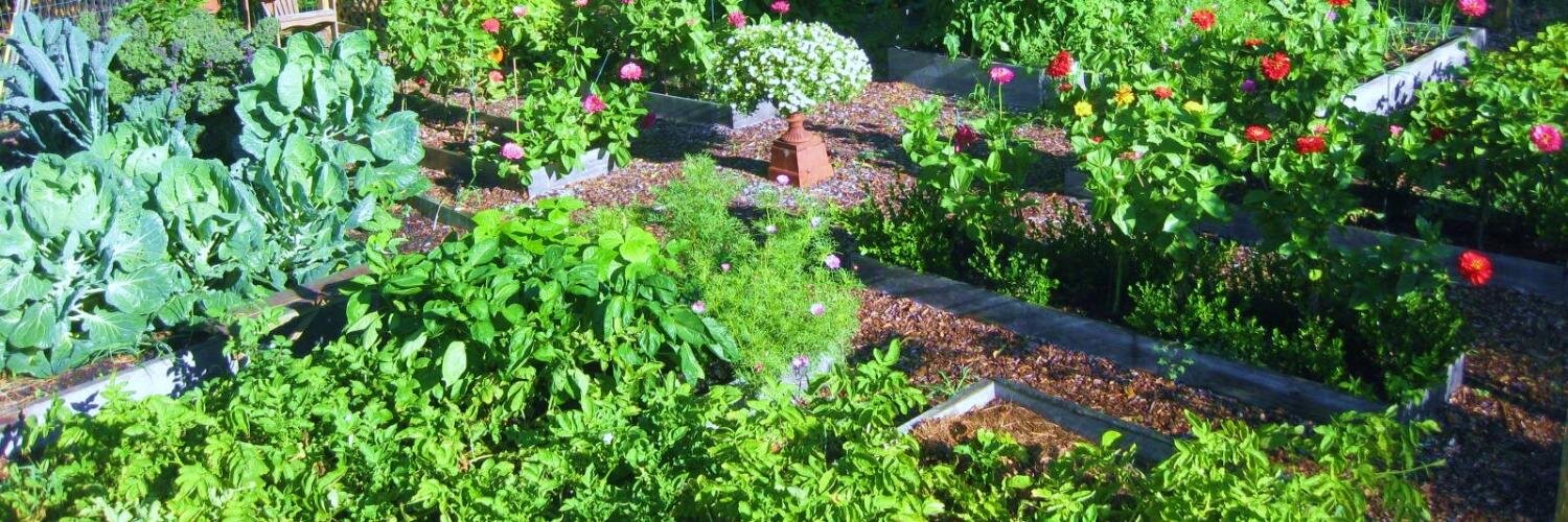 le_potager's profile banner image