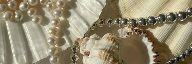 Daniel q (slow) banner