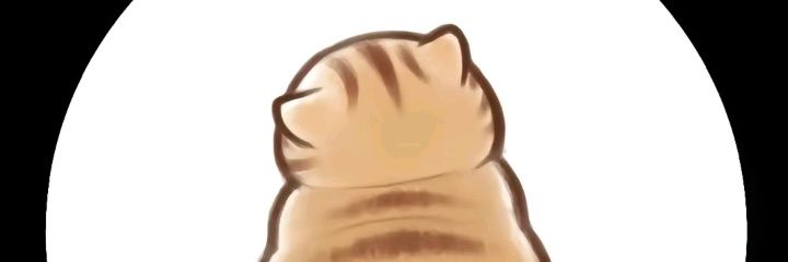 Dan banner