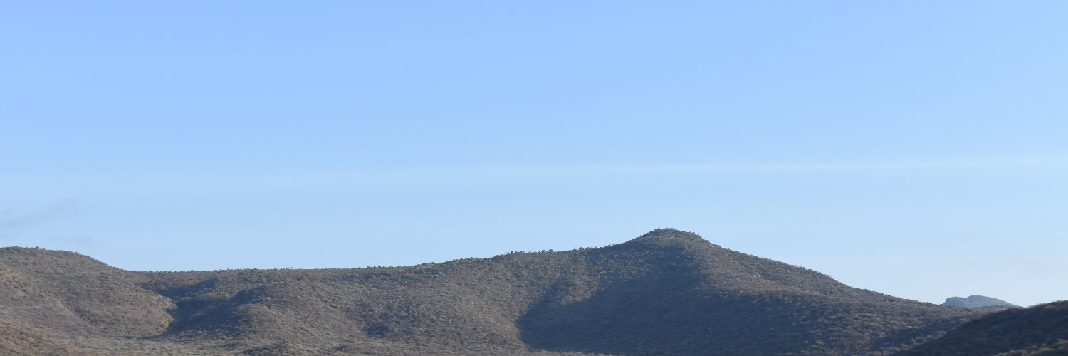 PeterSudai's profile banner image