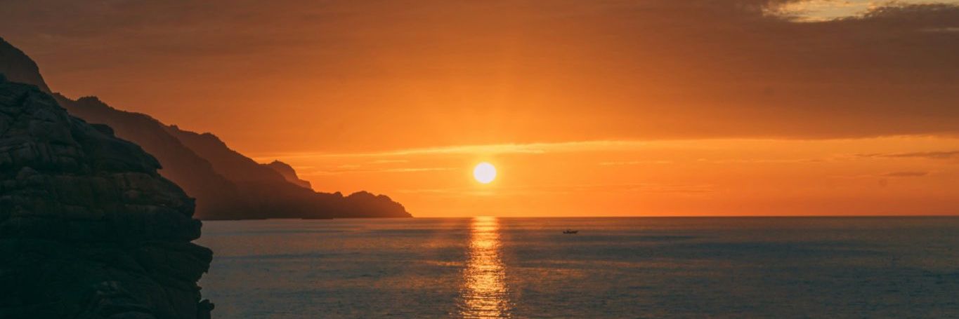 Big Mivvy🌺 banner
