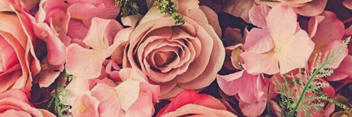 FeliEngwerda's profile banner image