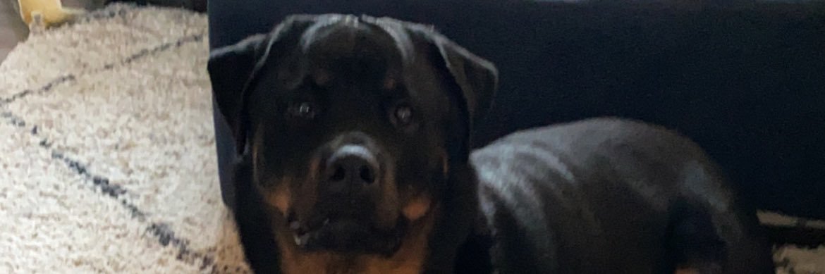 VAFOSTER6's profile banner image