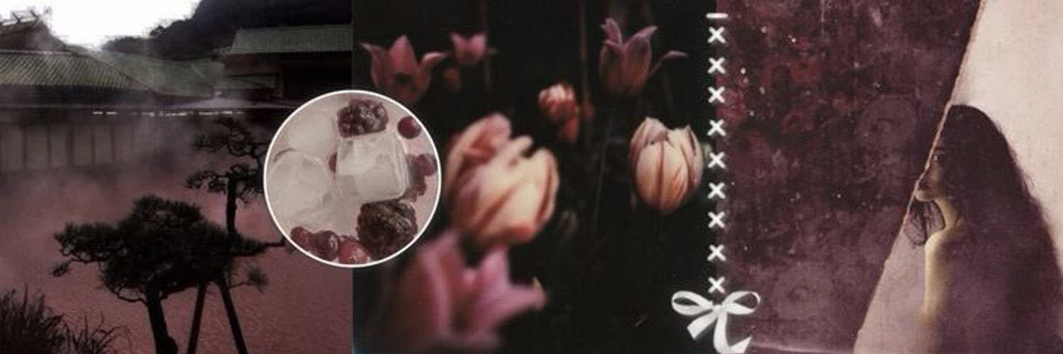 mia's banner