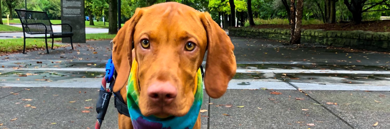 HannahJamesE's profile banner image
