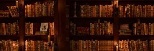 shaynesdm Profile Banner