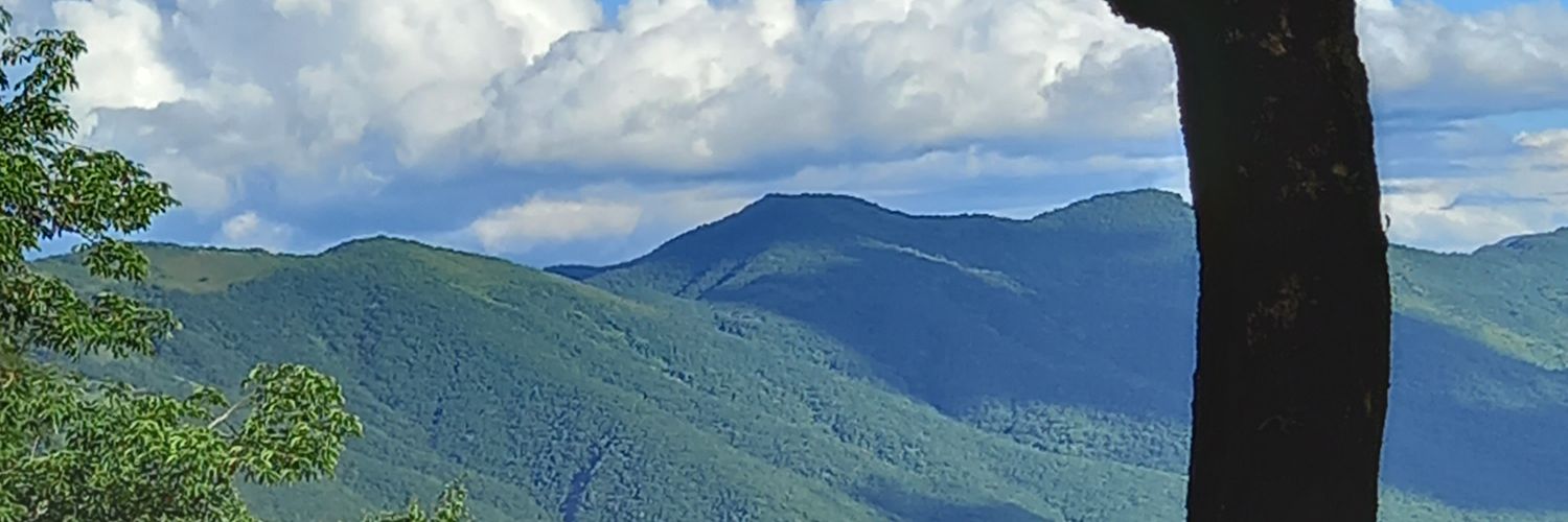 kaaamaciel's profile banner image