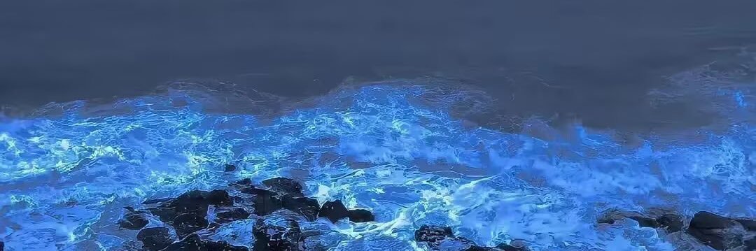 ThicknessNightmare banner