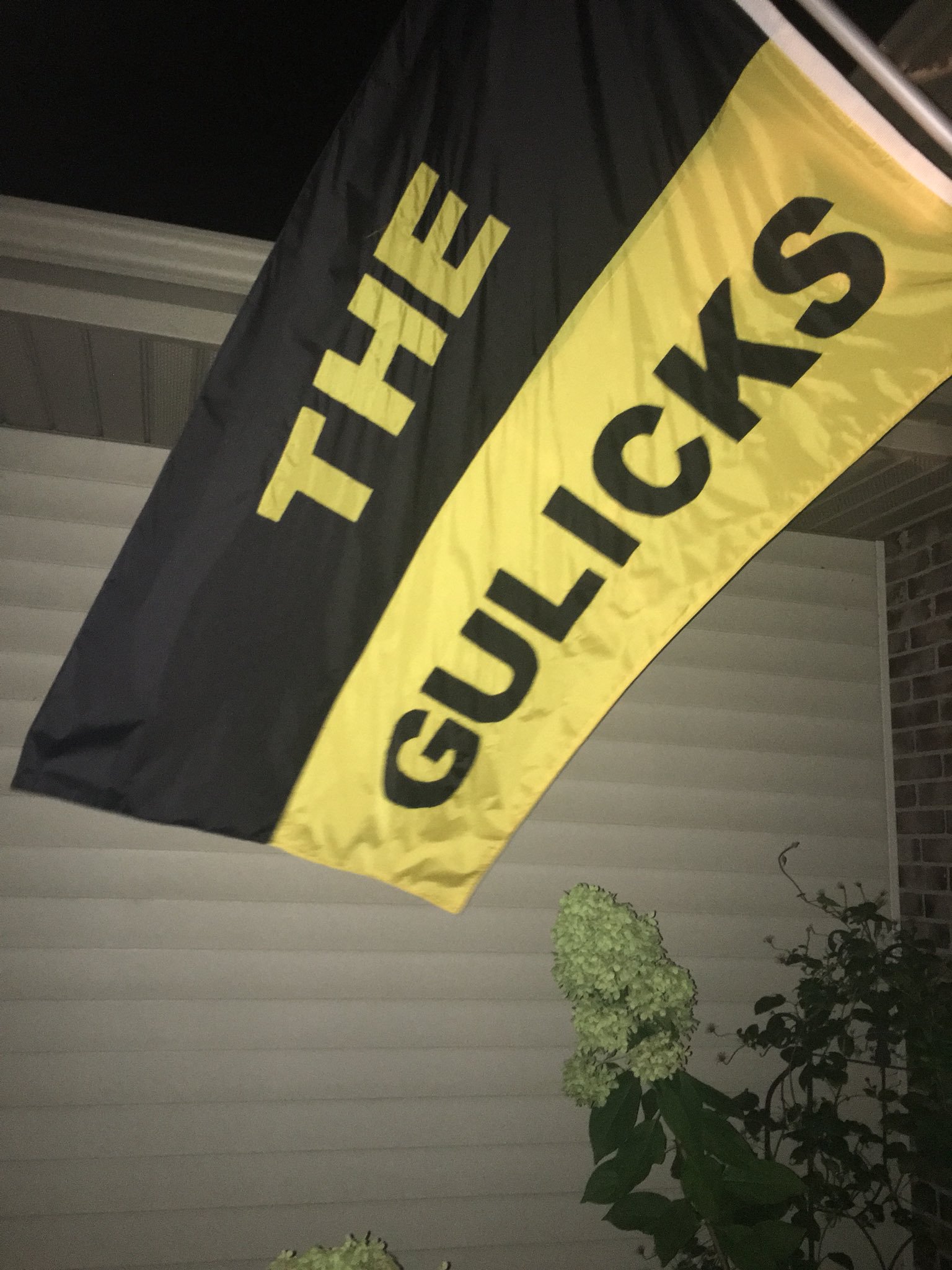 Gabe Gulick banner