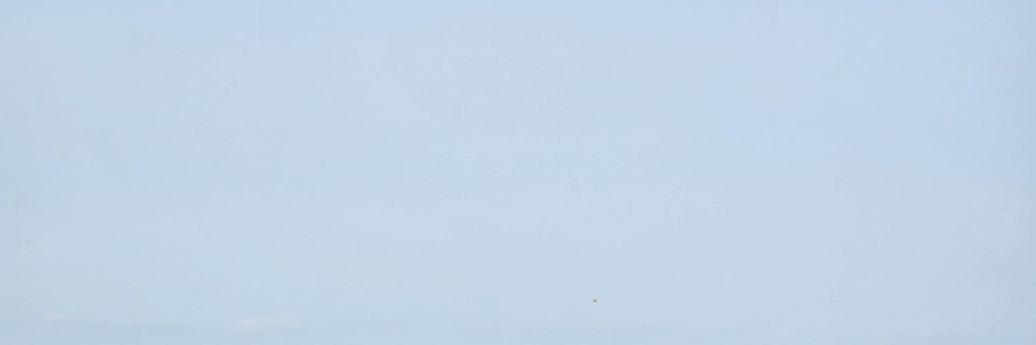 fltm_dl's profile banner image