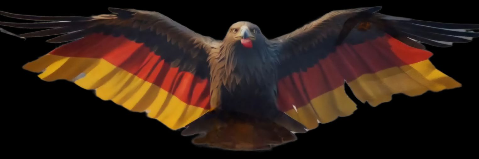 Facta invenio banner