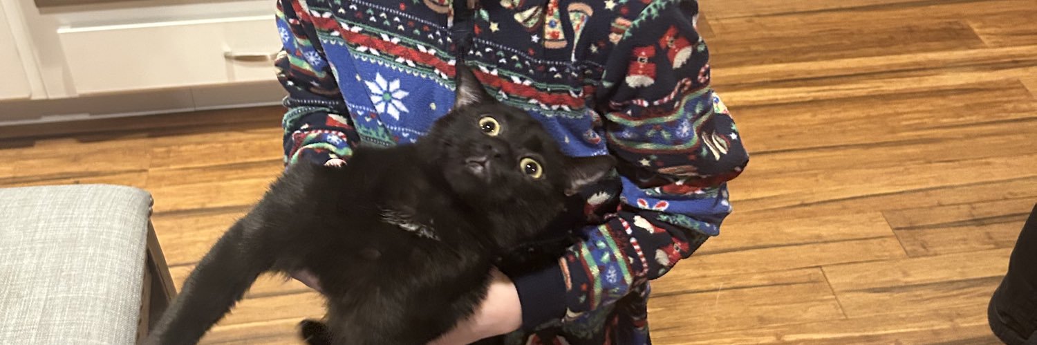 TheOnceAndFutureTimbo 🐈‍⬛🐦‍⬛ banner