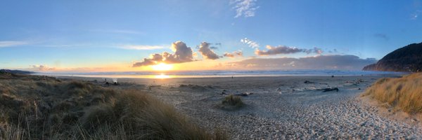 lindedelman Profile Banner