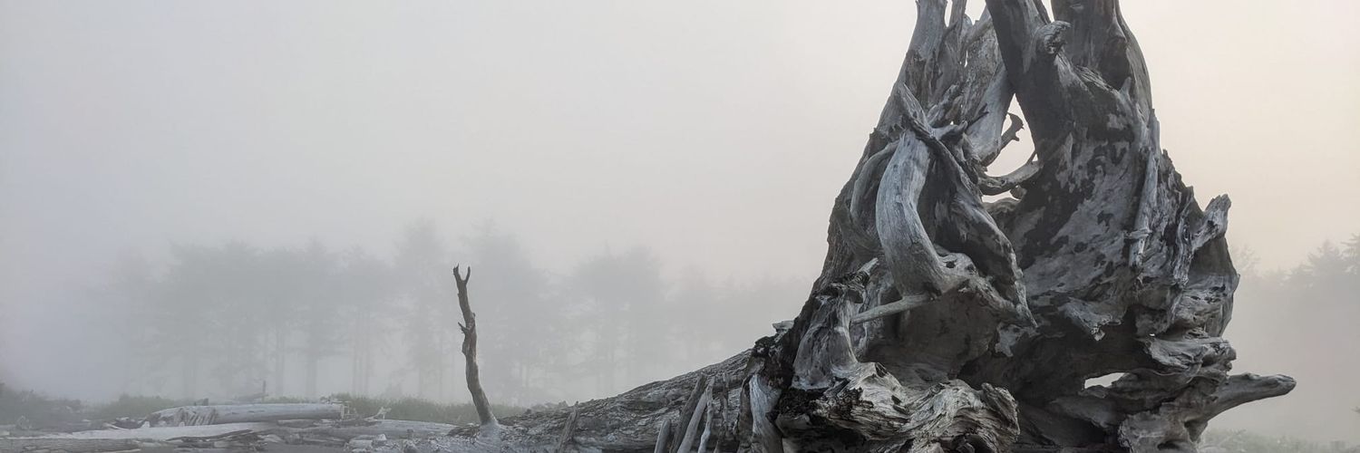 lisanoel78's profile banner image