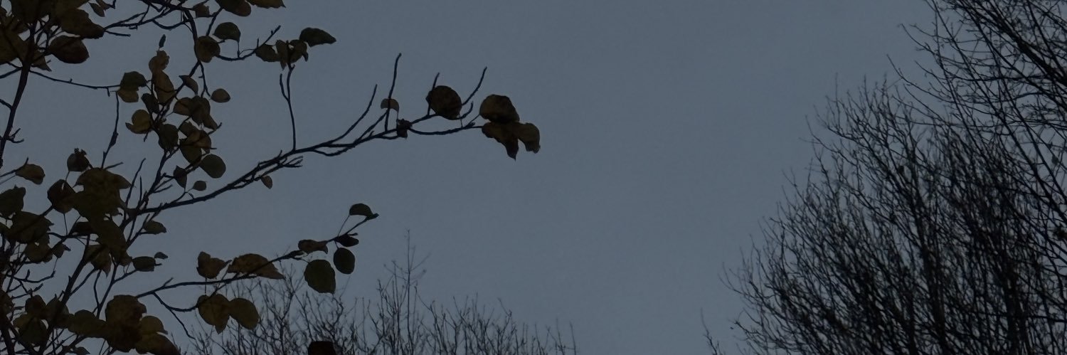 CynX8488's profile banner image