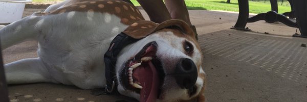 MattDeanM Profile Banner