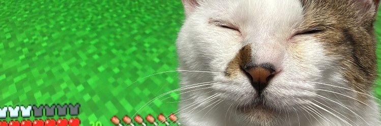 futabavl's profile banner image