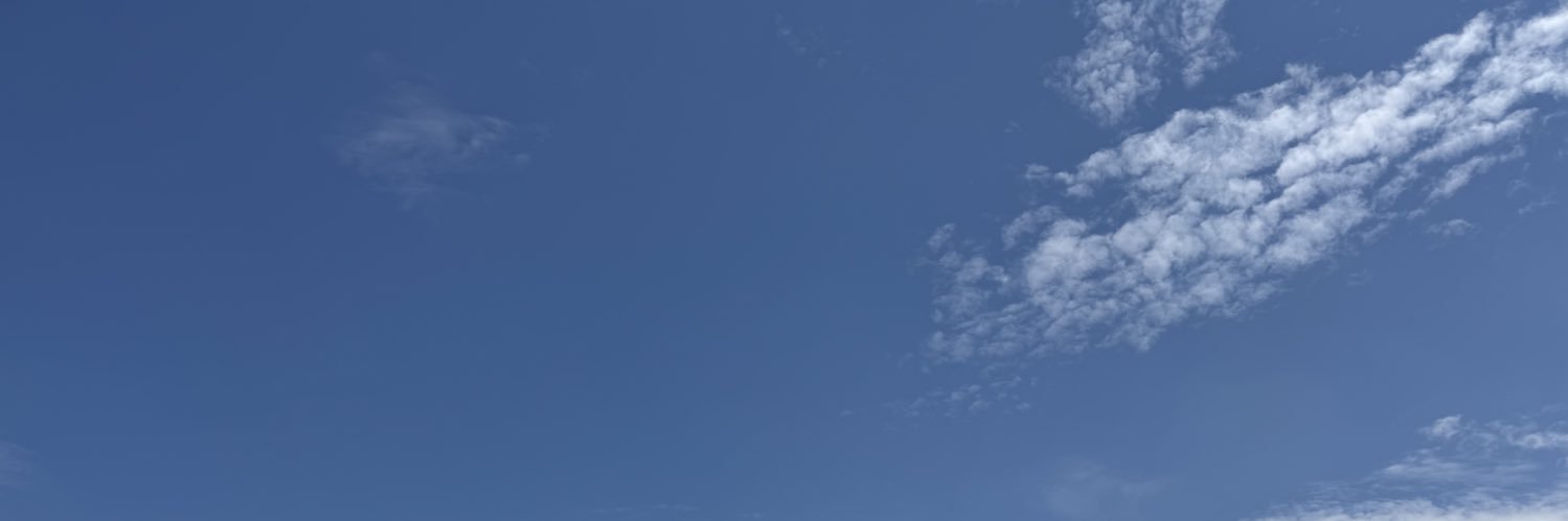 智 banner
