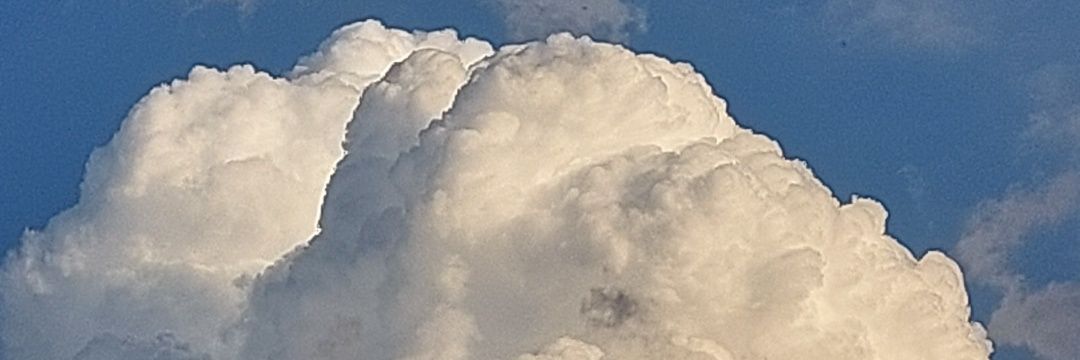 jovenalmendra's profile banner image