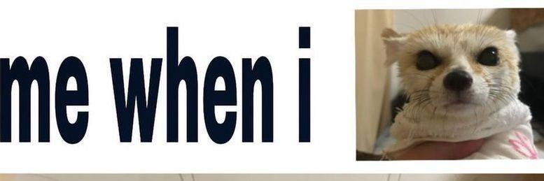Felne's banner