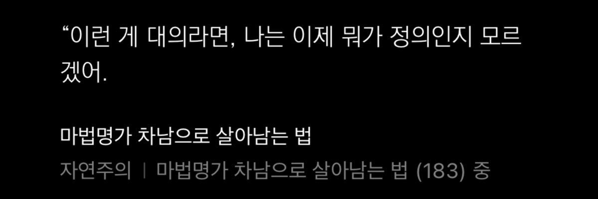 버치 banner
