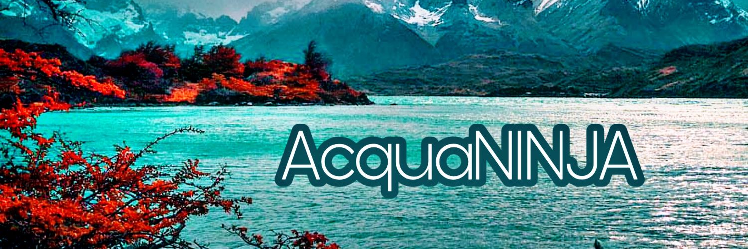 AcquaNINJA's profile banner image