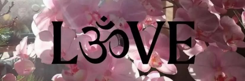 saltyhoneymoon banner