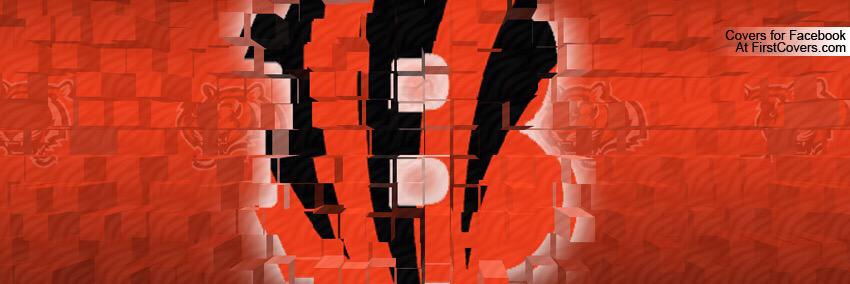 Tigre1001's profile banner image