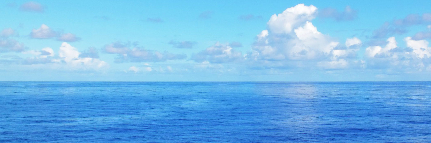 promedia's profile banner image