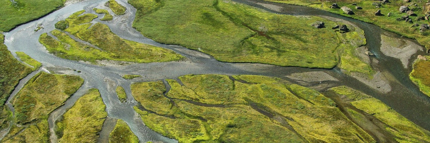 TSimensen's profile banner image