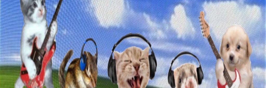 cat ʚ❤︎ɞ banner