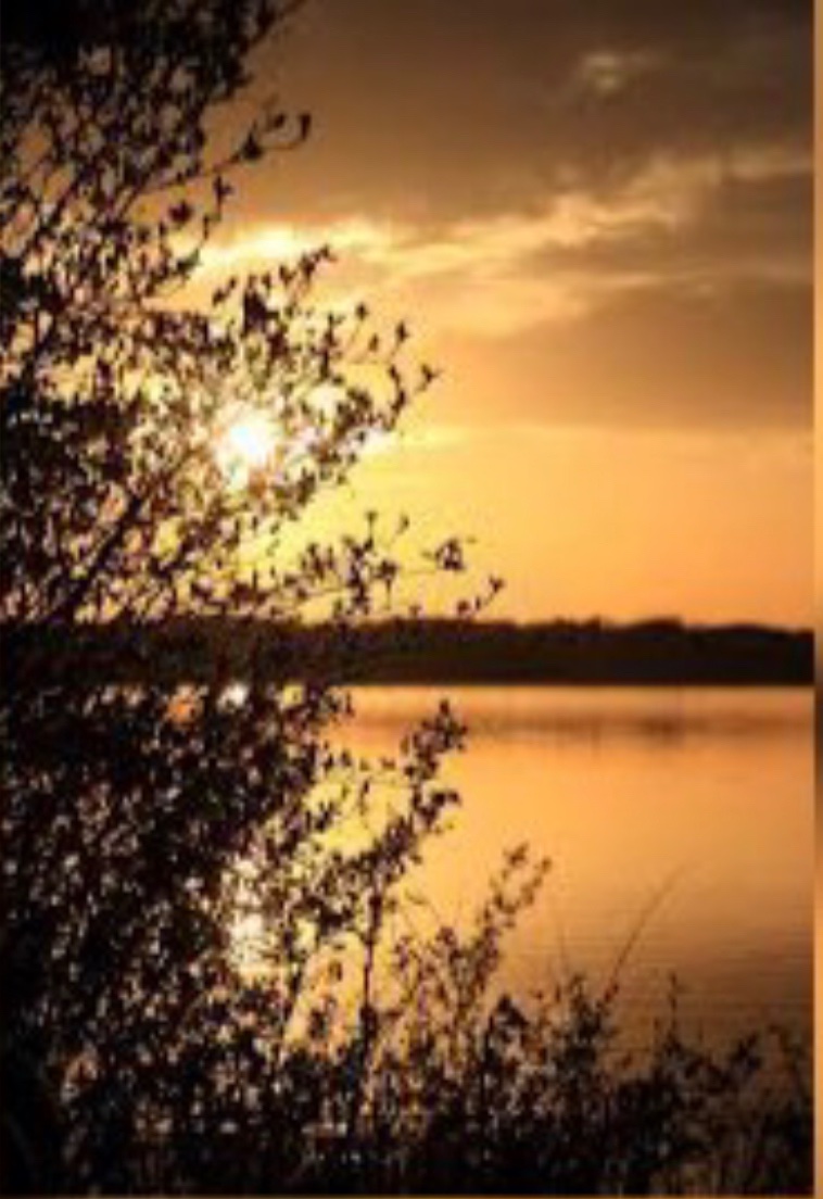 mr_lowki's profile banner image