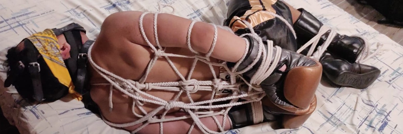 BondoBox 🥊⛓ banner