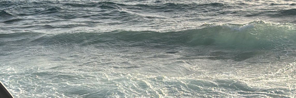 nnllvec's profile banner image