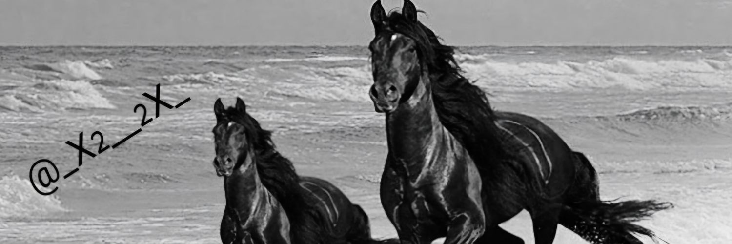 أنس banner