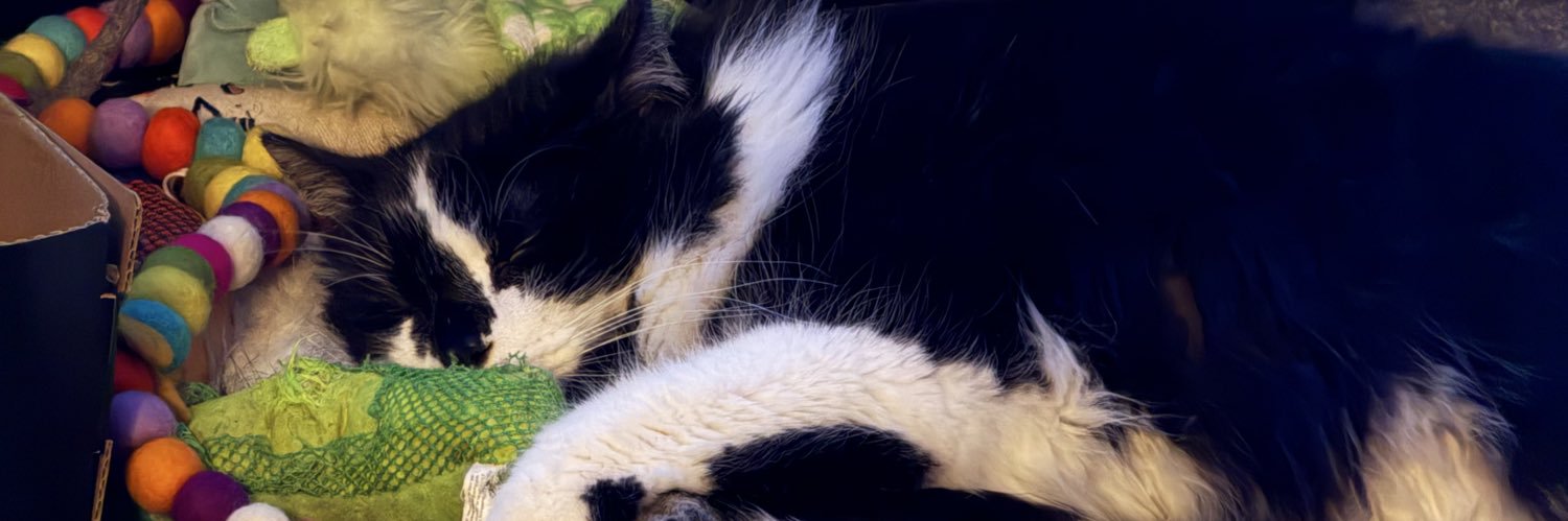 HeidiSpin banner