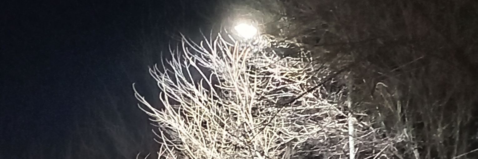 какао banner