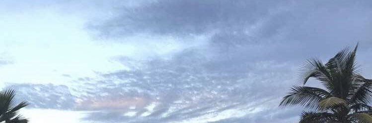 YaraLoay's profile banner image