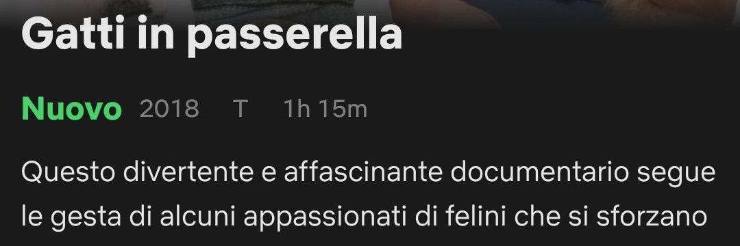 FrancescoStark_'s profile banner image