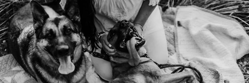 SavannahGeier's profile banner image