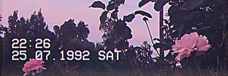 iolpk68's profile banner image