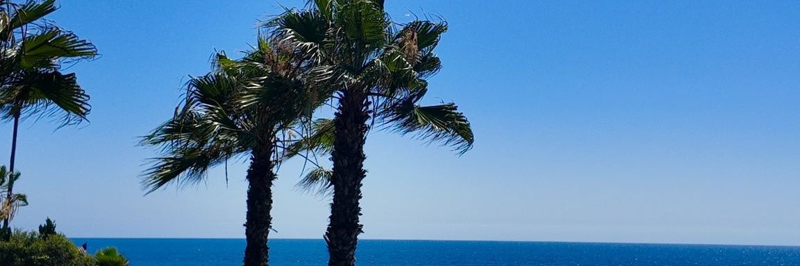 😎 banner