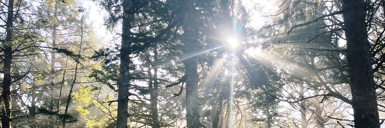 lakeeler's profile banner image