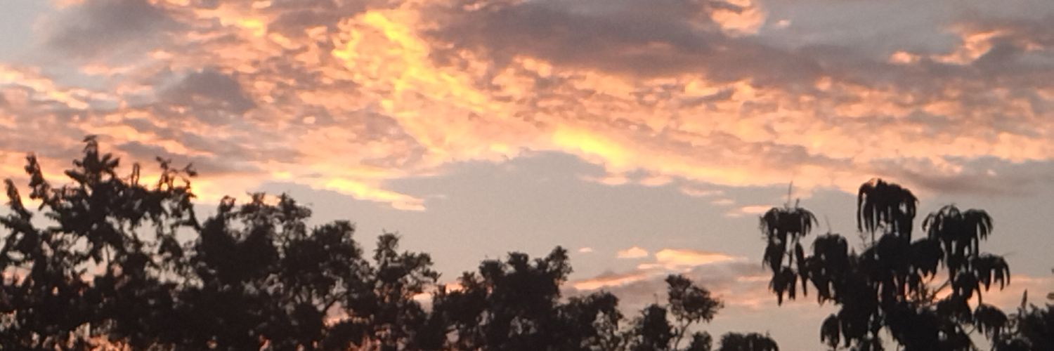 __Camilo04's profile banner image