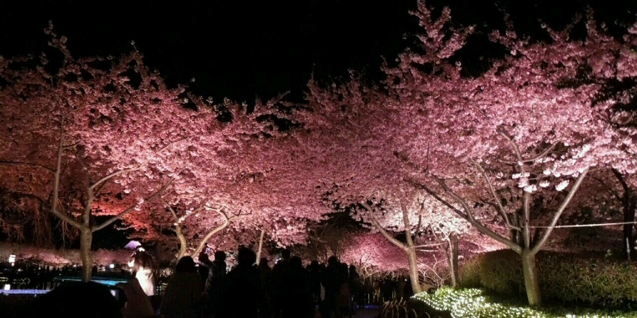 choco__mi's profile banner image