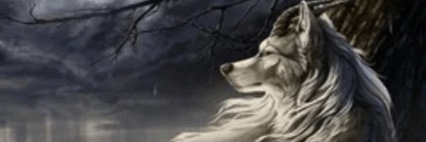 StinkySoup banner