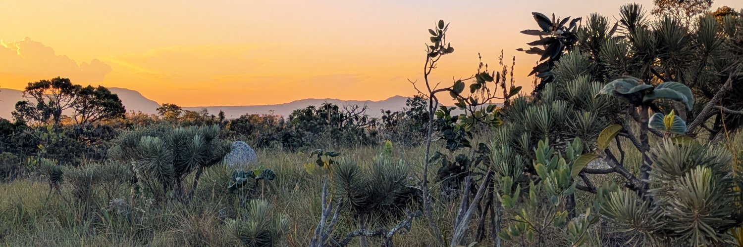 Aline C. Martins banner